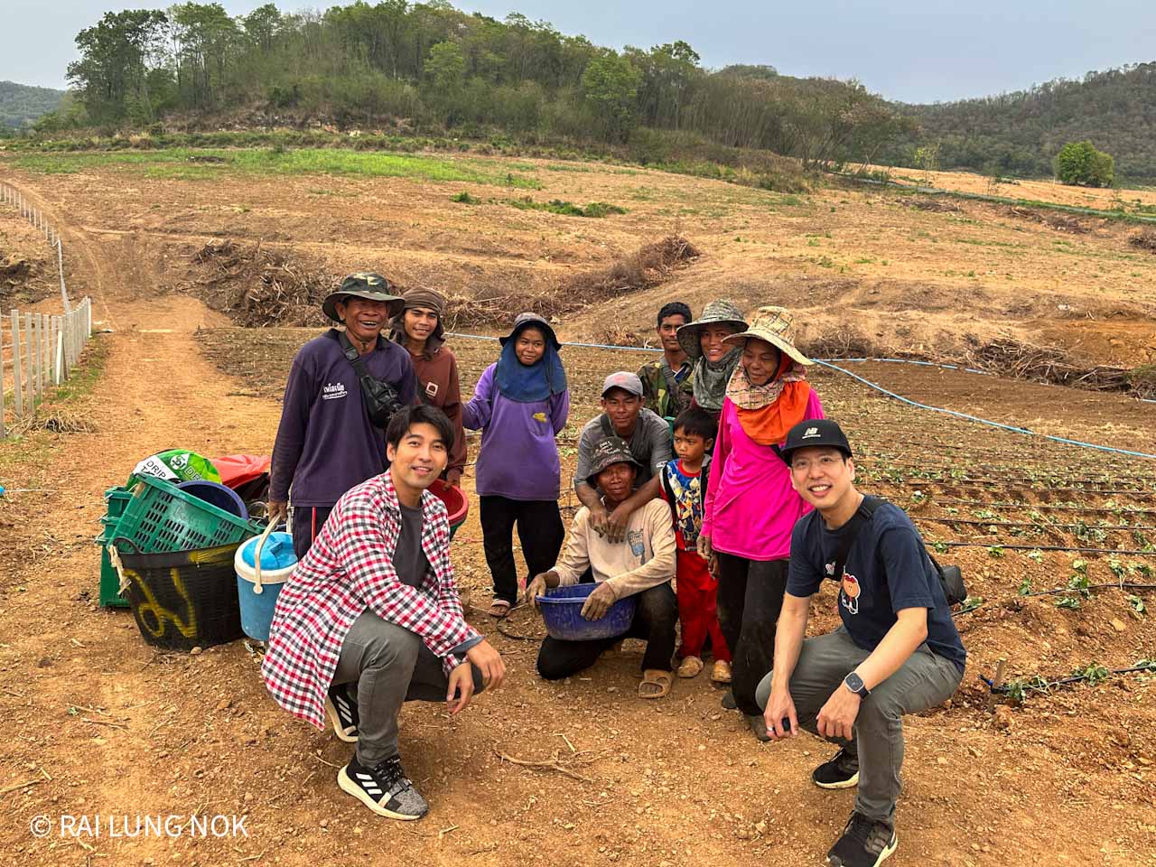ไร่ลุงหนก - Rai Lung Nok - ปลูกมันหวานญี่ปุ่นเบนิฮารุกะ แปลงทดลอง